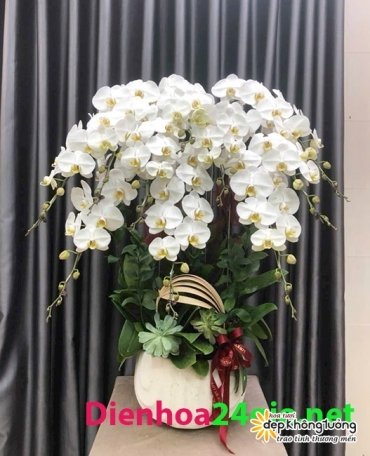 shop hoa tuoi gia lai