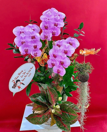 shop hoa tuoi phuong tan thoi hiep tp hcm  ?? dat hoa tuoi online giao nhanh