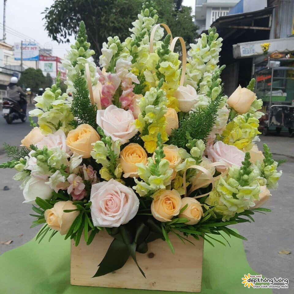 shop hoa tuoi tien giang