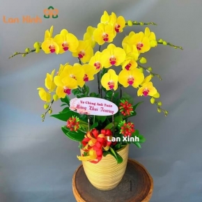 chau lan ho diep tang khai truong