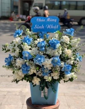 gio hoa hong xanh sang trong