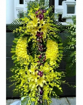 hoa chia buon   khoang lang