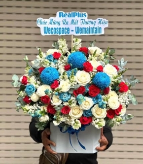 hoa chuc mung sinh nhat sep