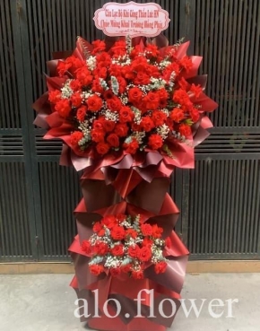 hoa khai truong hong phat