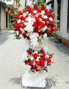 hoa mung khai truong cong ty