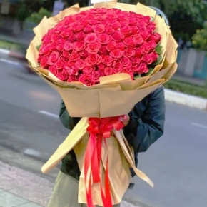 loi to tinh